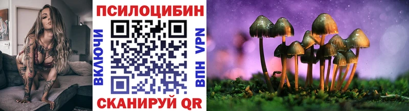 blacksprut как войти  Шуя  Галлюциногенные грибы MAGIC MUSHROOMS 
